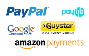 Quelle solution pour vos paiements en ligne ?